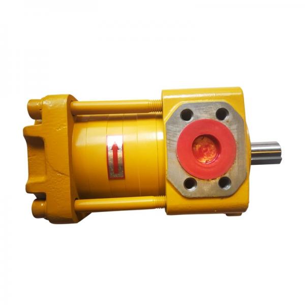 SUMITOMO QT43-31.5-A High Pressure Pompe à engrenages #1 image